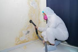 Best Industrial Mold Remediation in Canal Winchester, OH